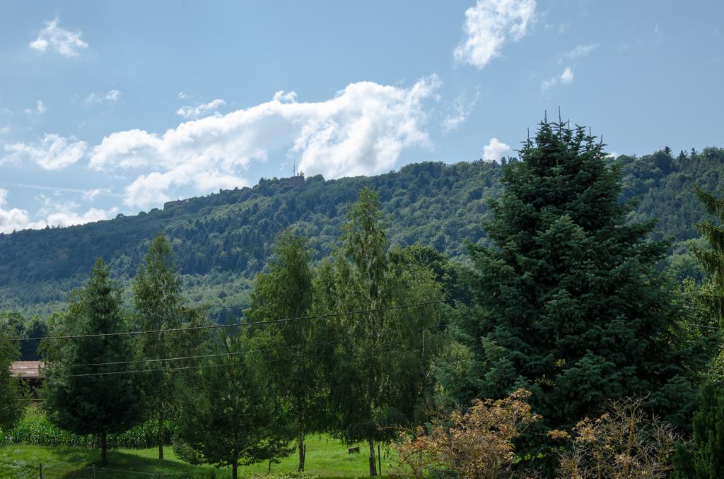 Meublé de Tourisme 3* Appartamento Saverne Camera foto
